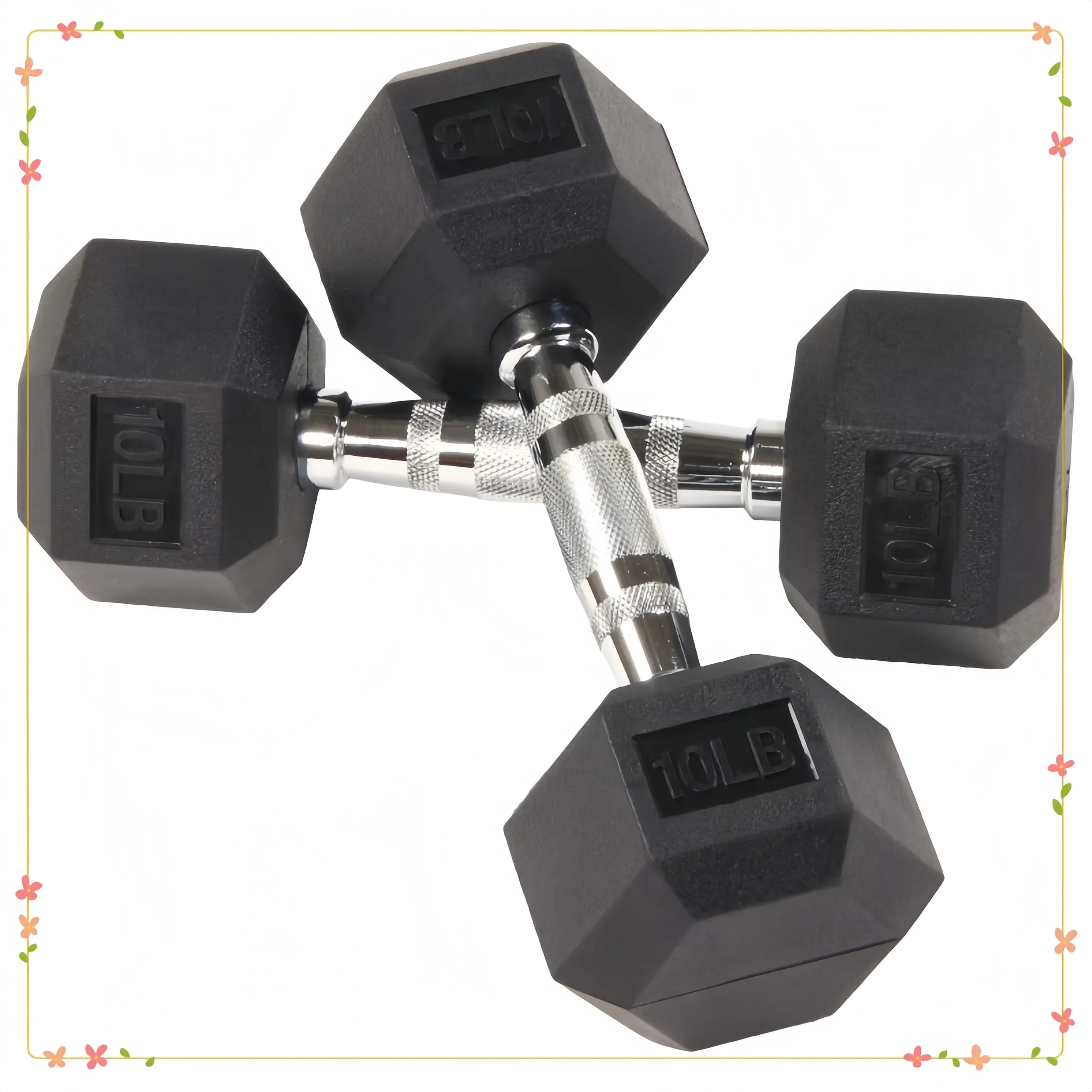 10 lbs pair of black rubber hexagonal dumbbells