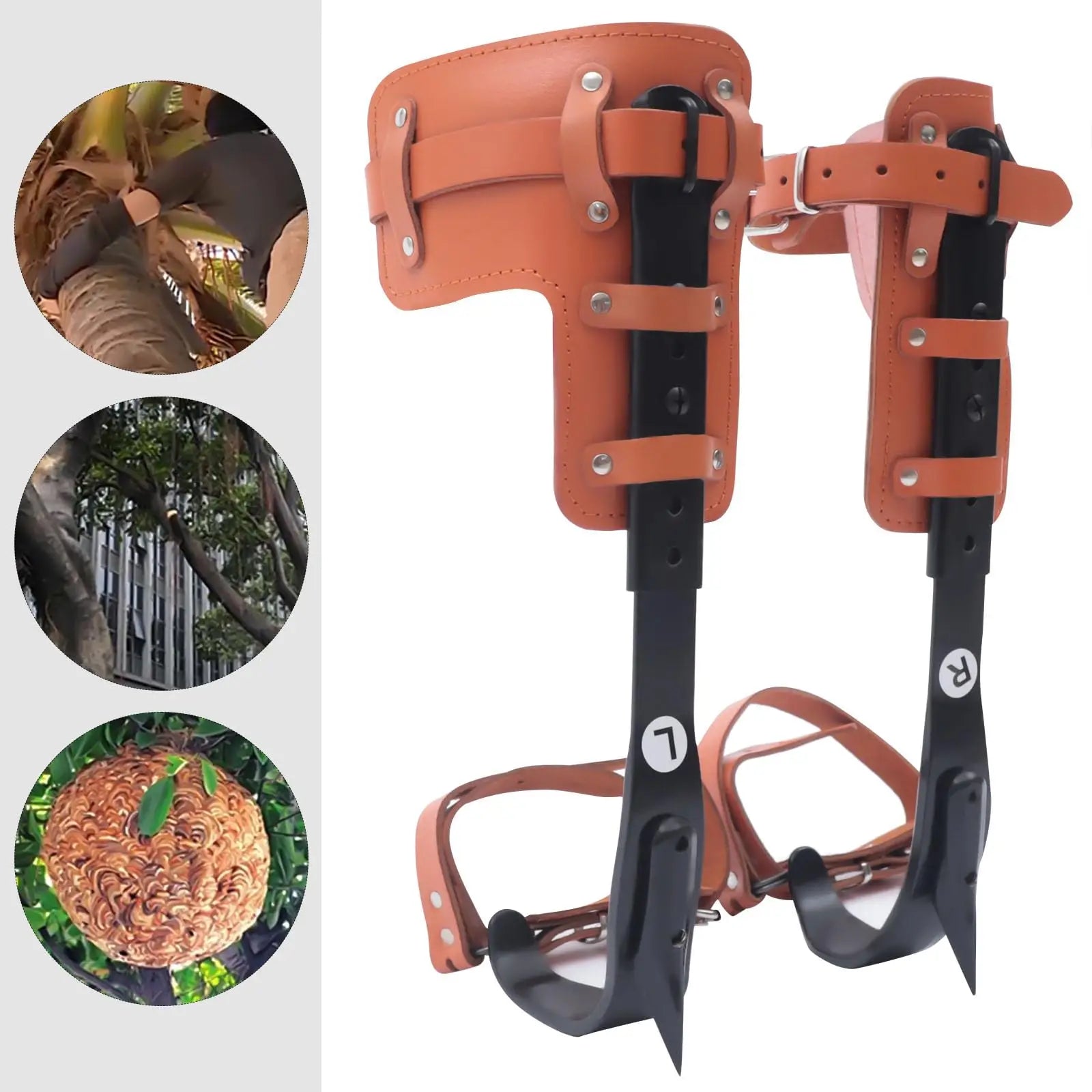 Tree Climbing Spike Set