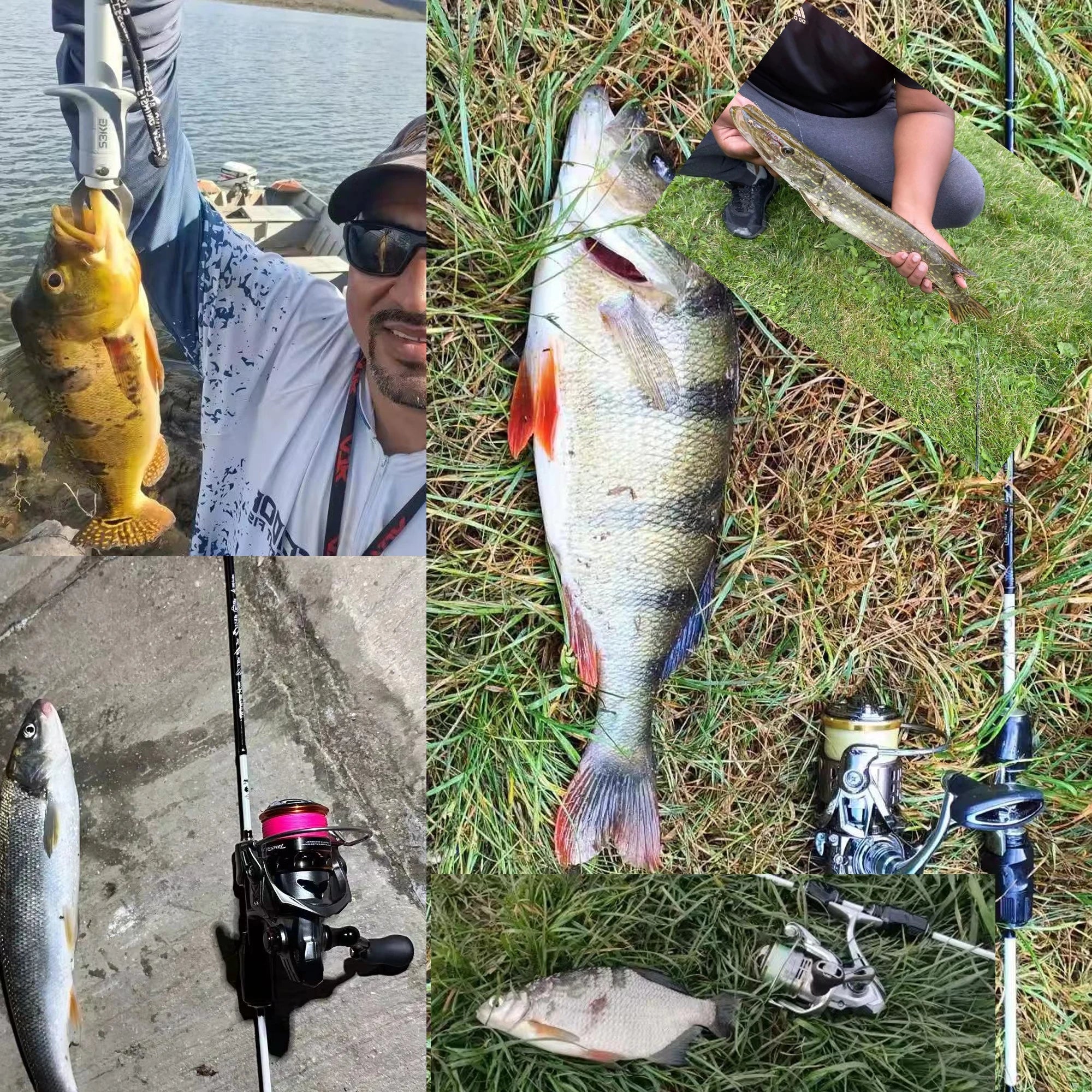 BIUTIFU Spinning Casting Ultralight Rod 1.8/1.92m T800 Carbon Fiber Fuji Ring 0.2-8g Solid Tip