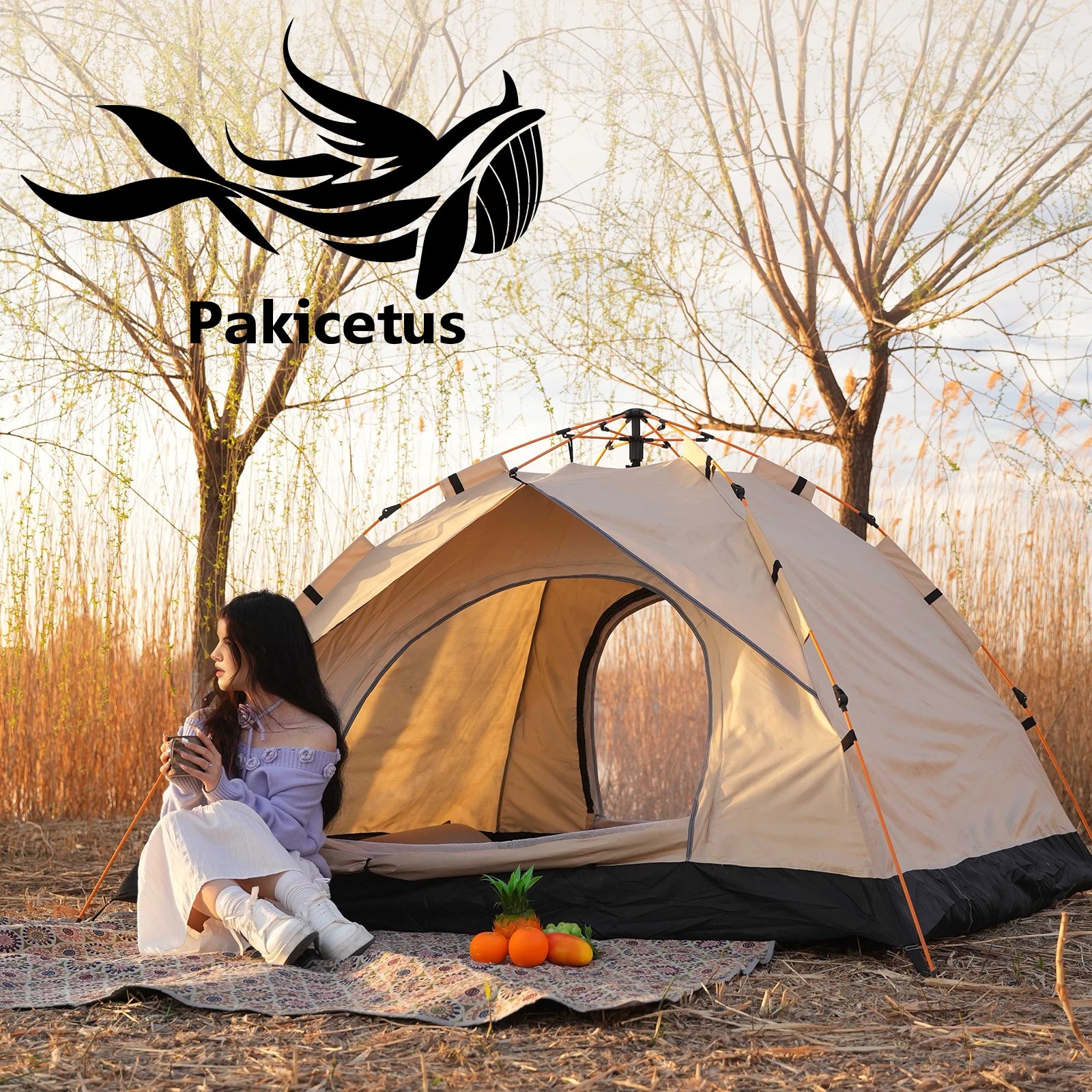 2-4 Person Camping Windproof Tents, Easy To Set Up