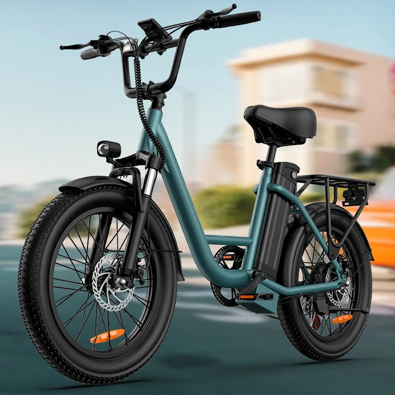1000W 20x3" Fat Tire Electric Bike 48V 13Ah Removable Battery 20MPH 7-Speed