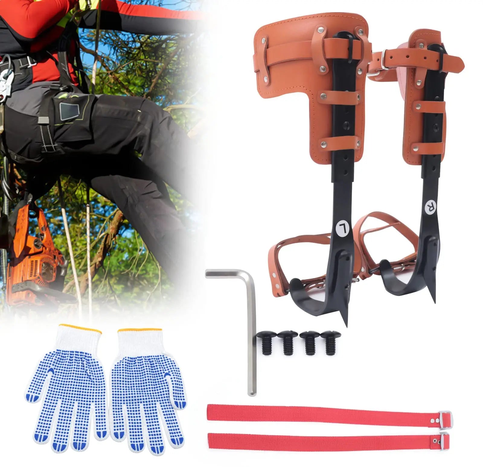 Tree Climbing Spike Set