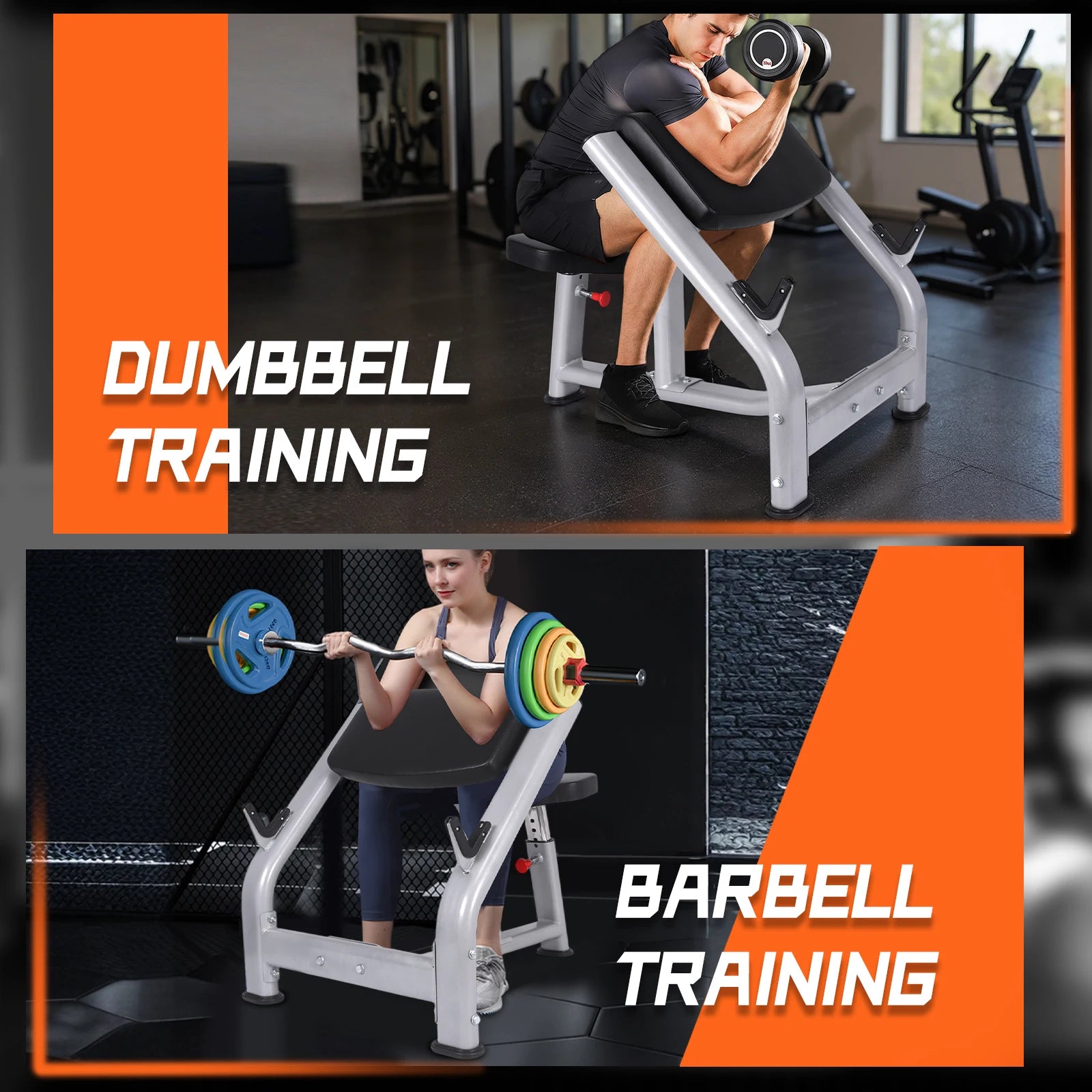 Seated Isolated Barbell Dumbbell Biceps Station with Adjustable Seat