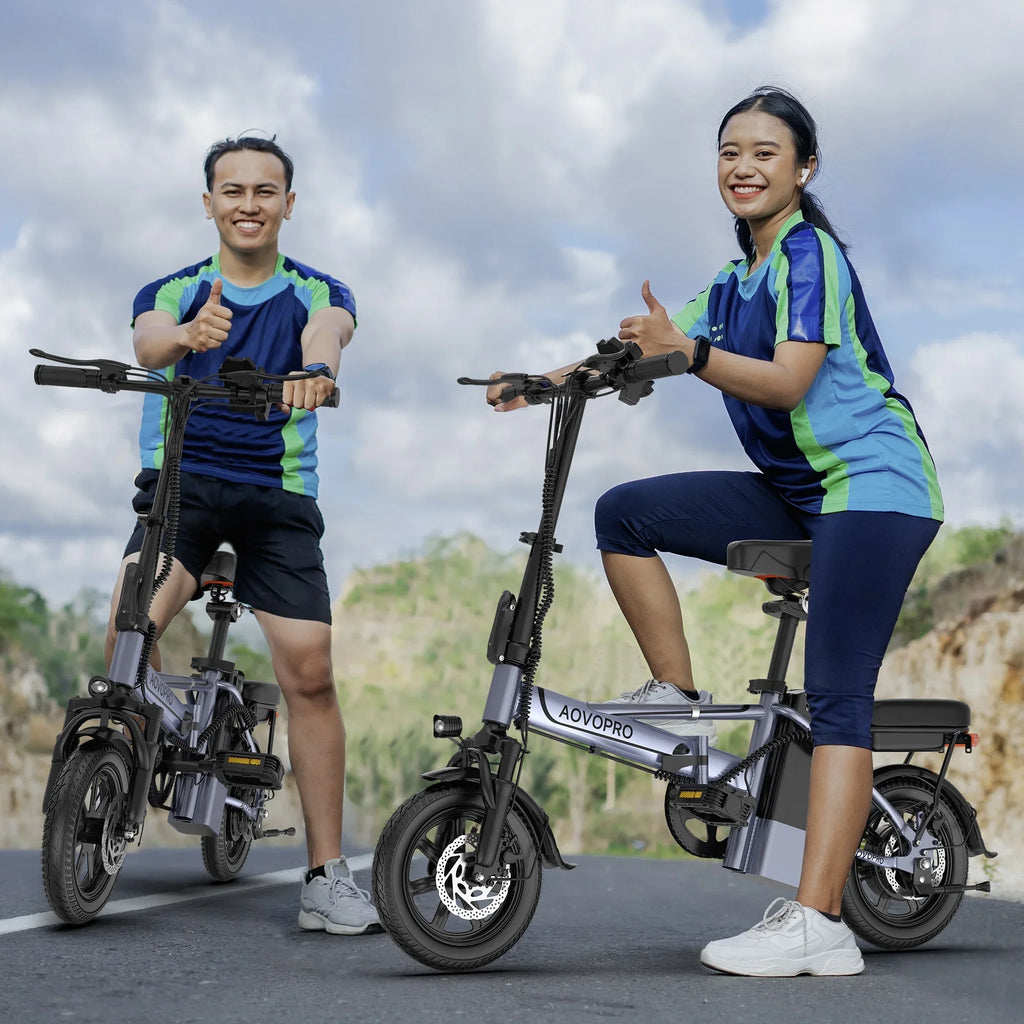 AOVOPRO 14'' EB60 Foldable Electric Bike 500W 48V 10.4AH Battery 22MPH Max Speed